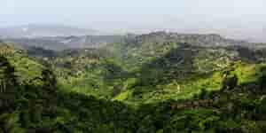 Jamaica
